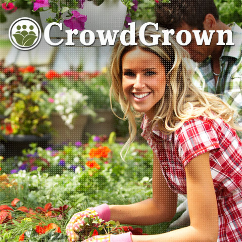 CrowdGrown